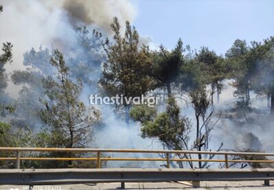 Φωτιά στο Σέιχ Σου