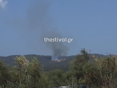 Φωτιά στην Τορώνη Χαλκιδικής