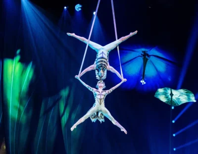 Cirque du Soleil - «OVO»